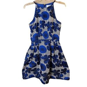 Belle Badgley Mischka Blue Floral Striped Sleeveless Fit And Flare Dress Size 2